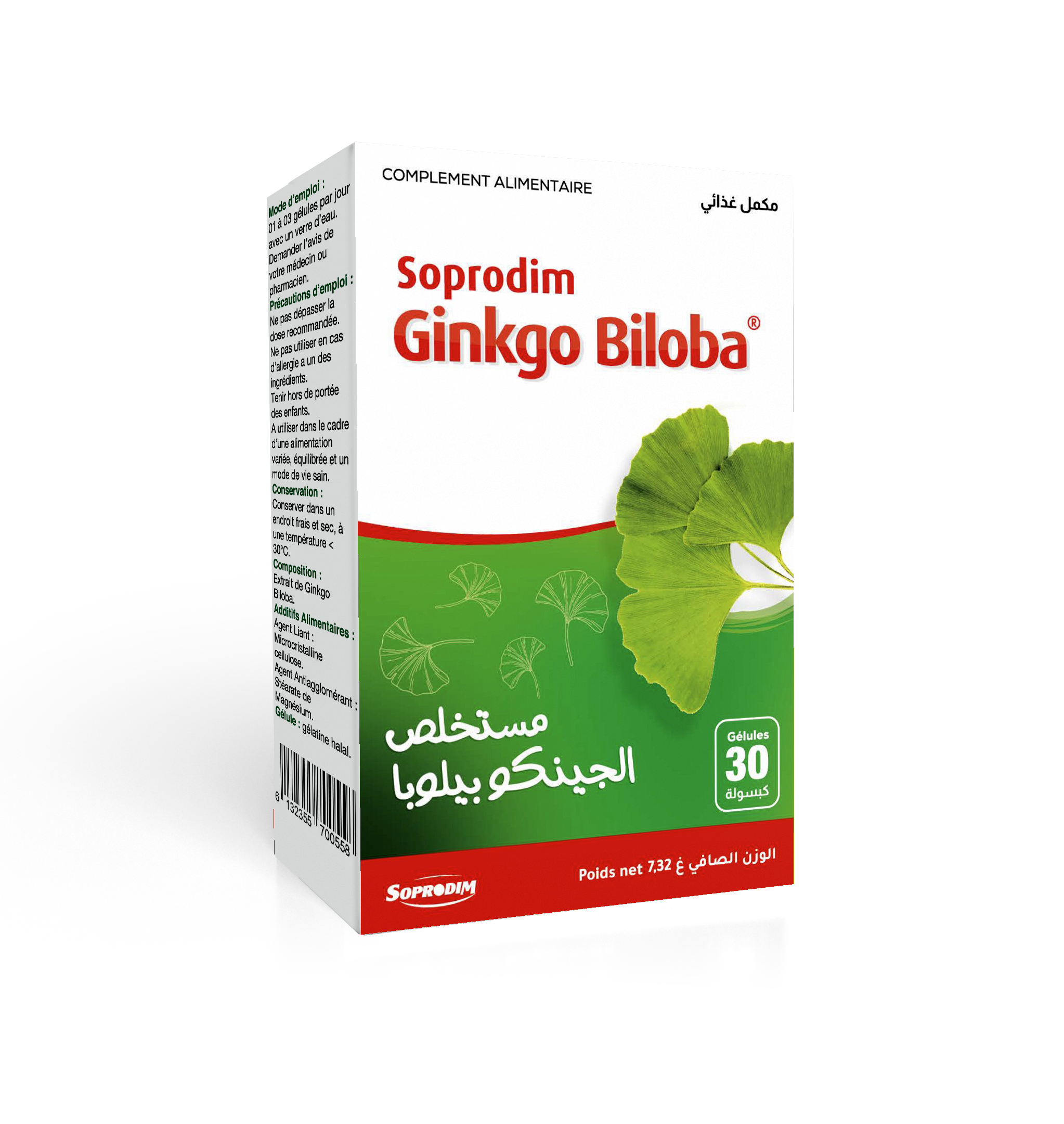 Ginkgo Biloba - Image 1